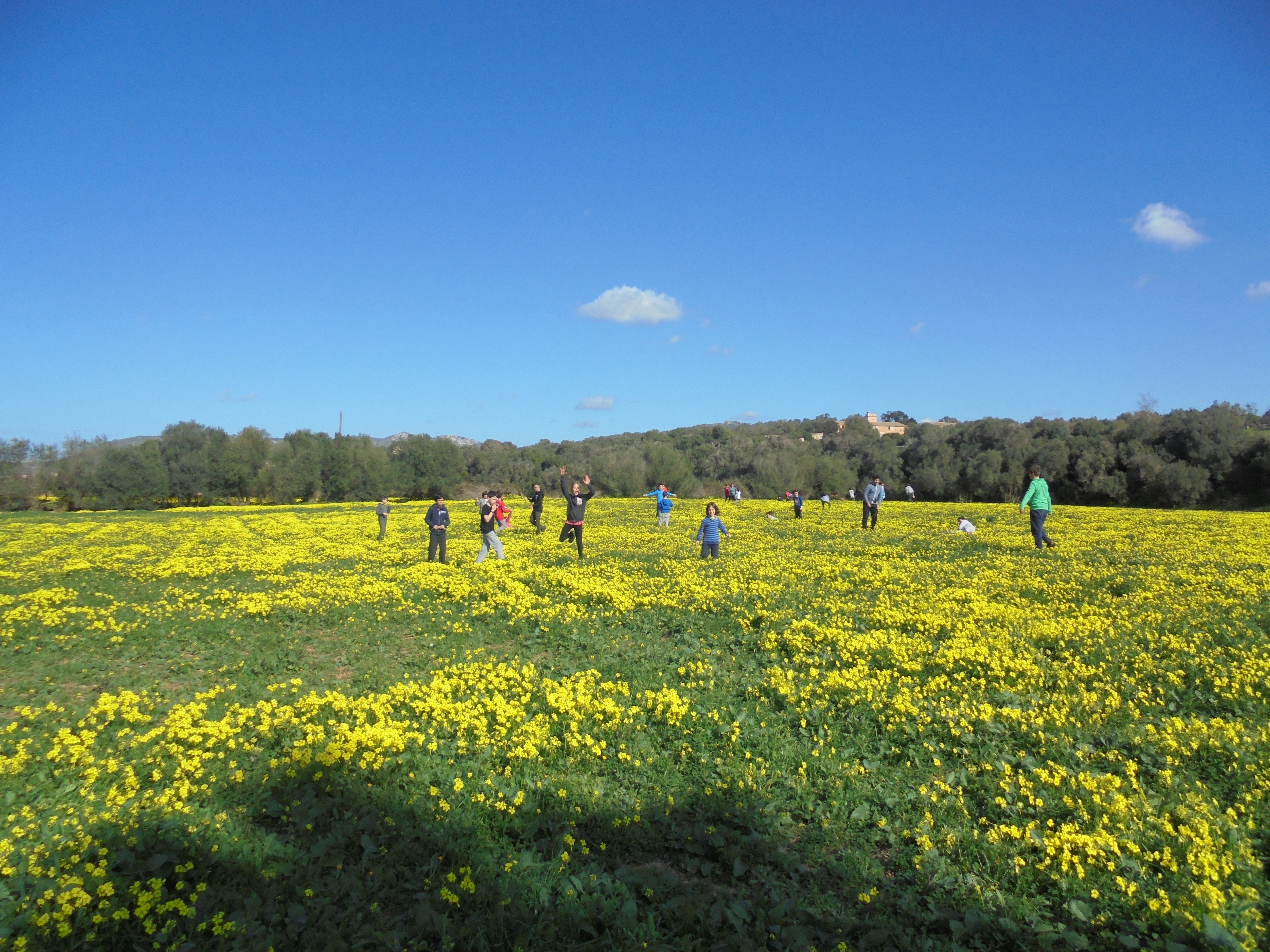 Jornada de portes obertes