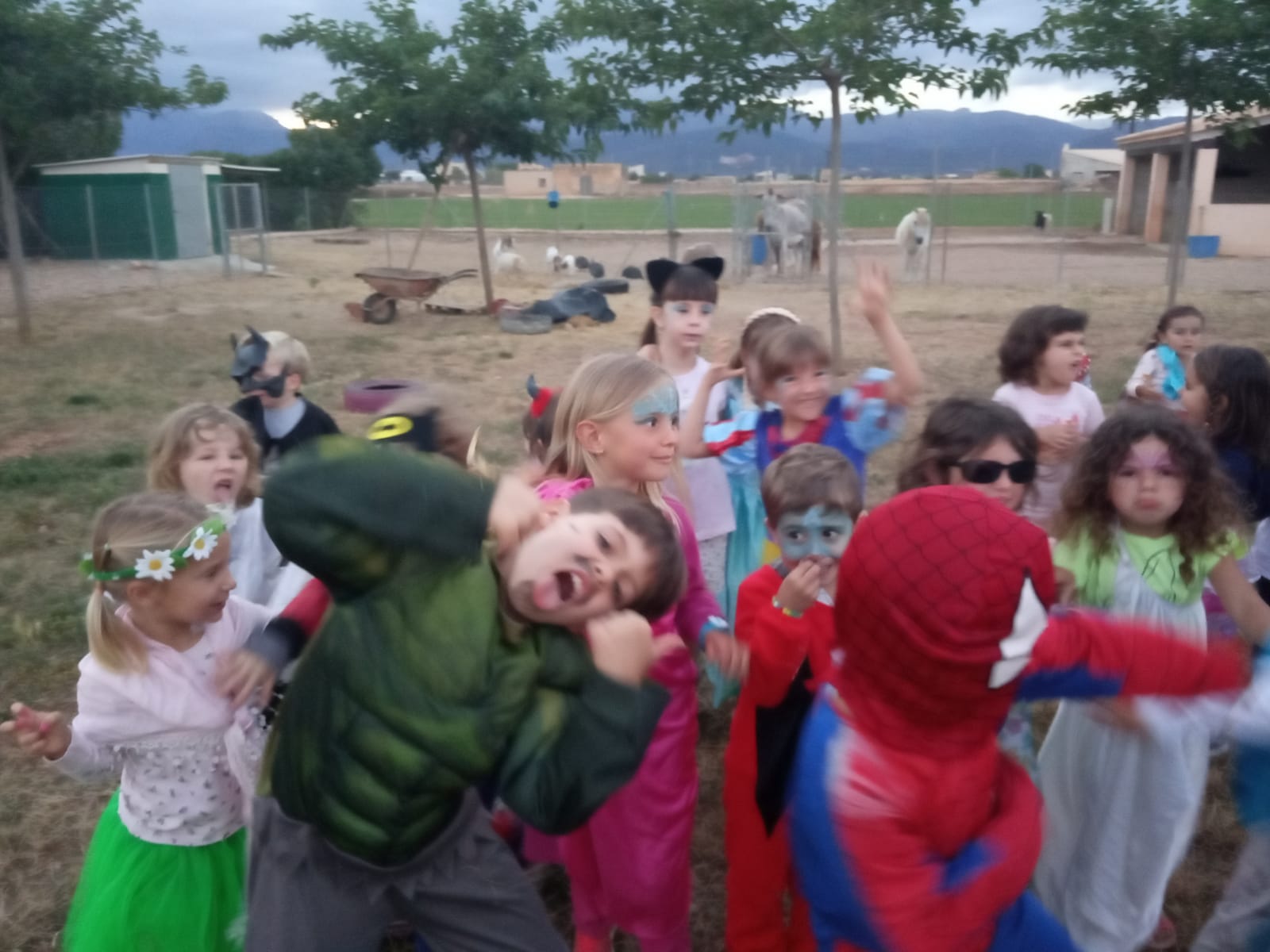  COLÃ’NIES A LA GRANJA ES MOLÃ
