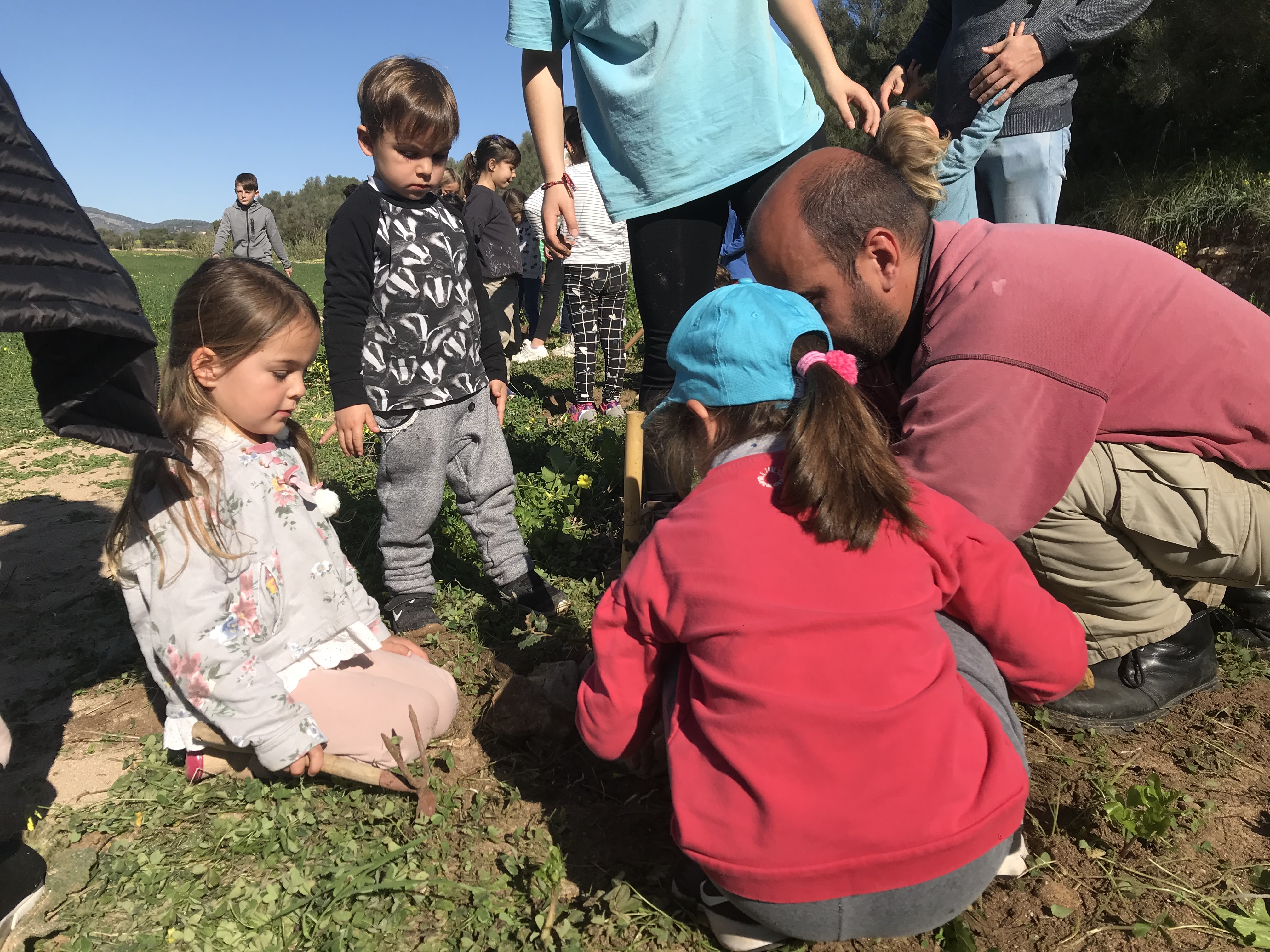 Reforestació del torrent de Son Carrió