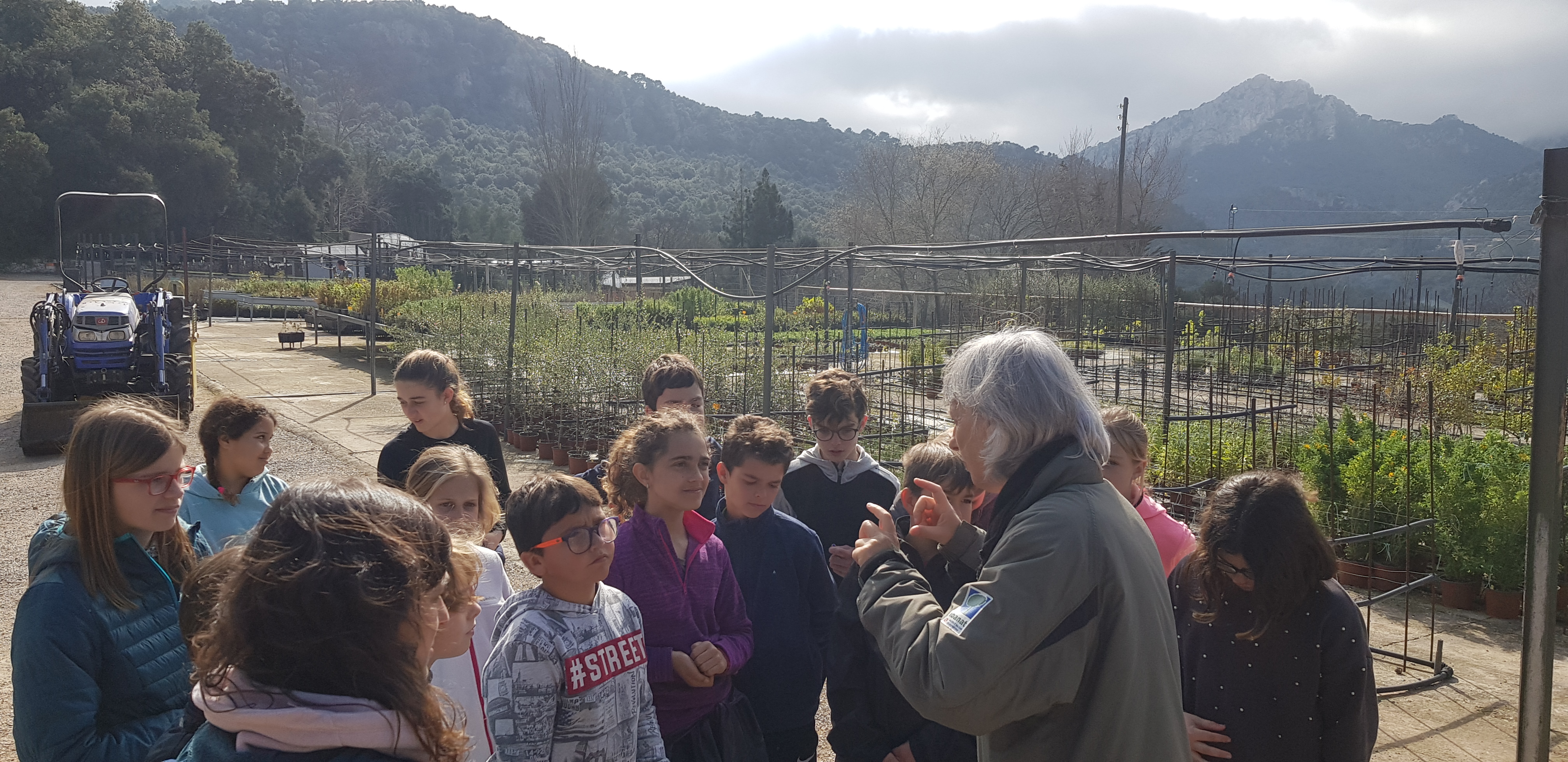 Reforestació del torrent de Son Carrió