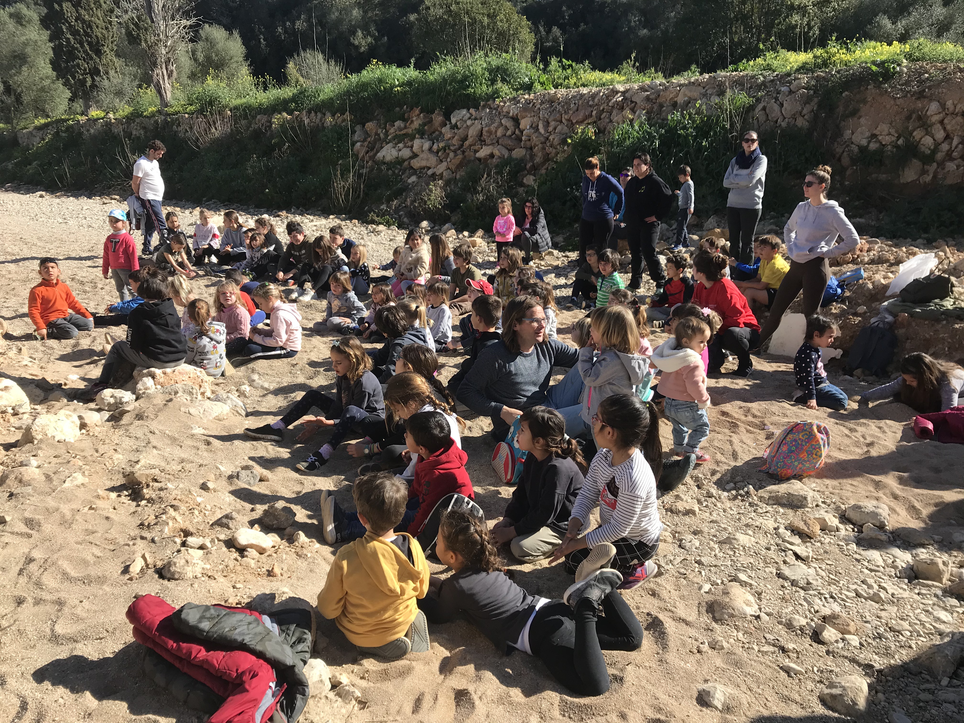 Reforestació del torrent de Son Carrió