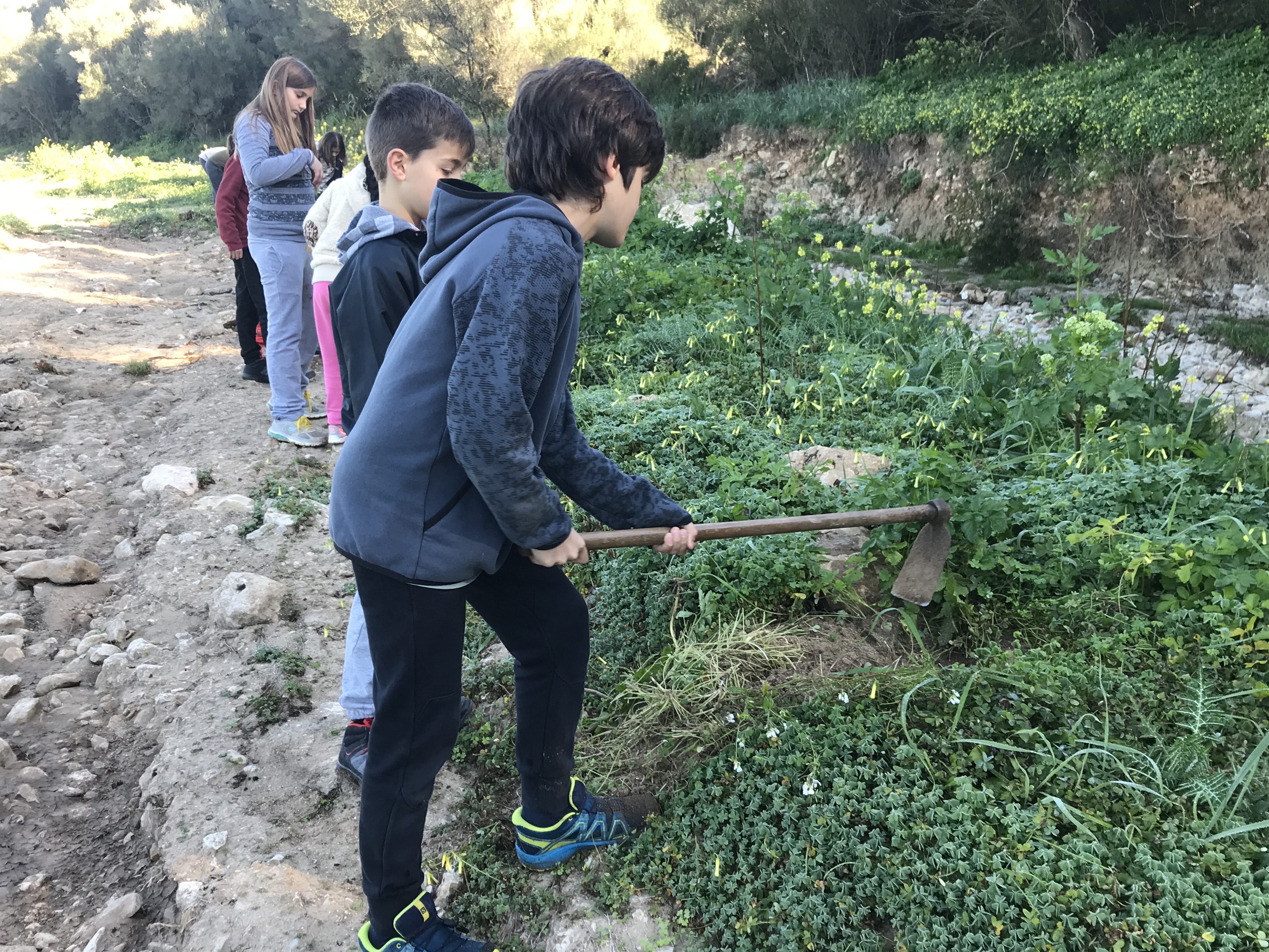 Reforestació del torrent de Son Carrió