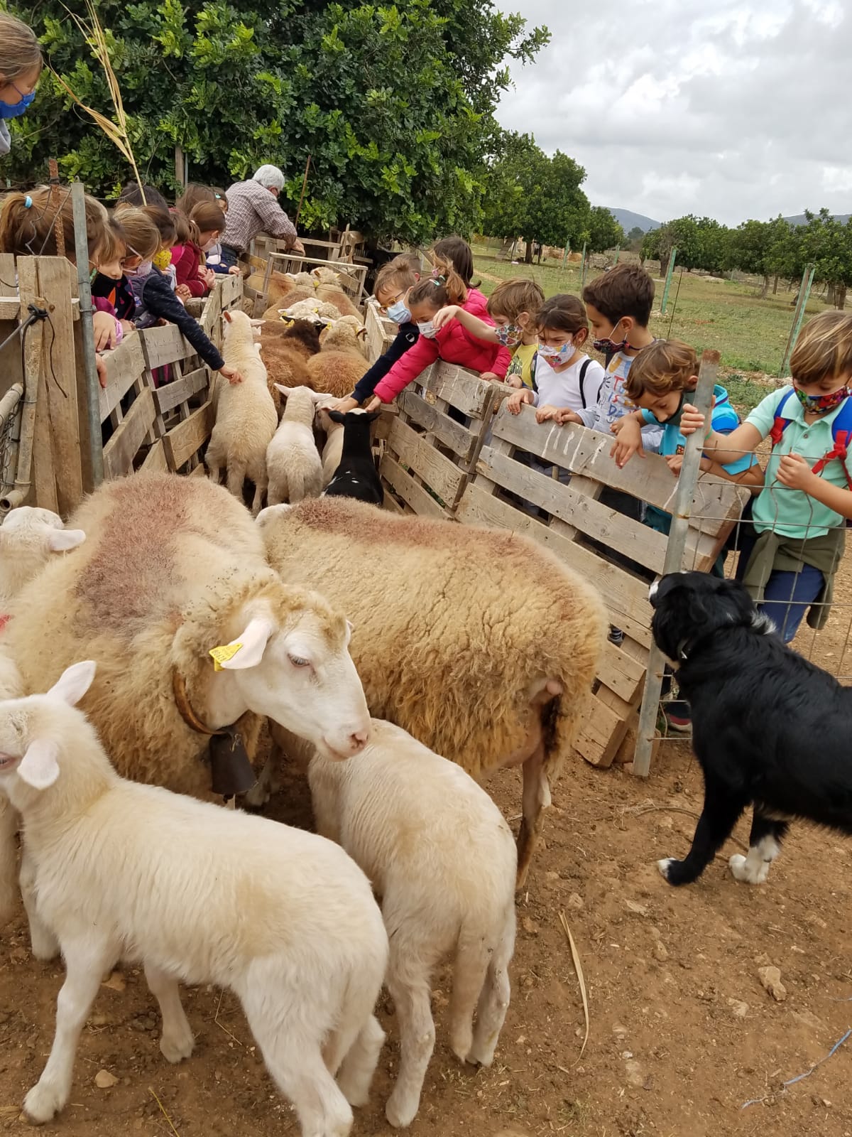 Un poc del nostre dia a dia