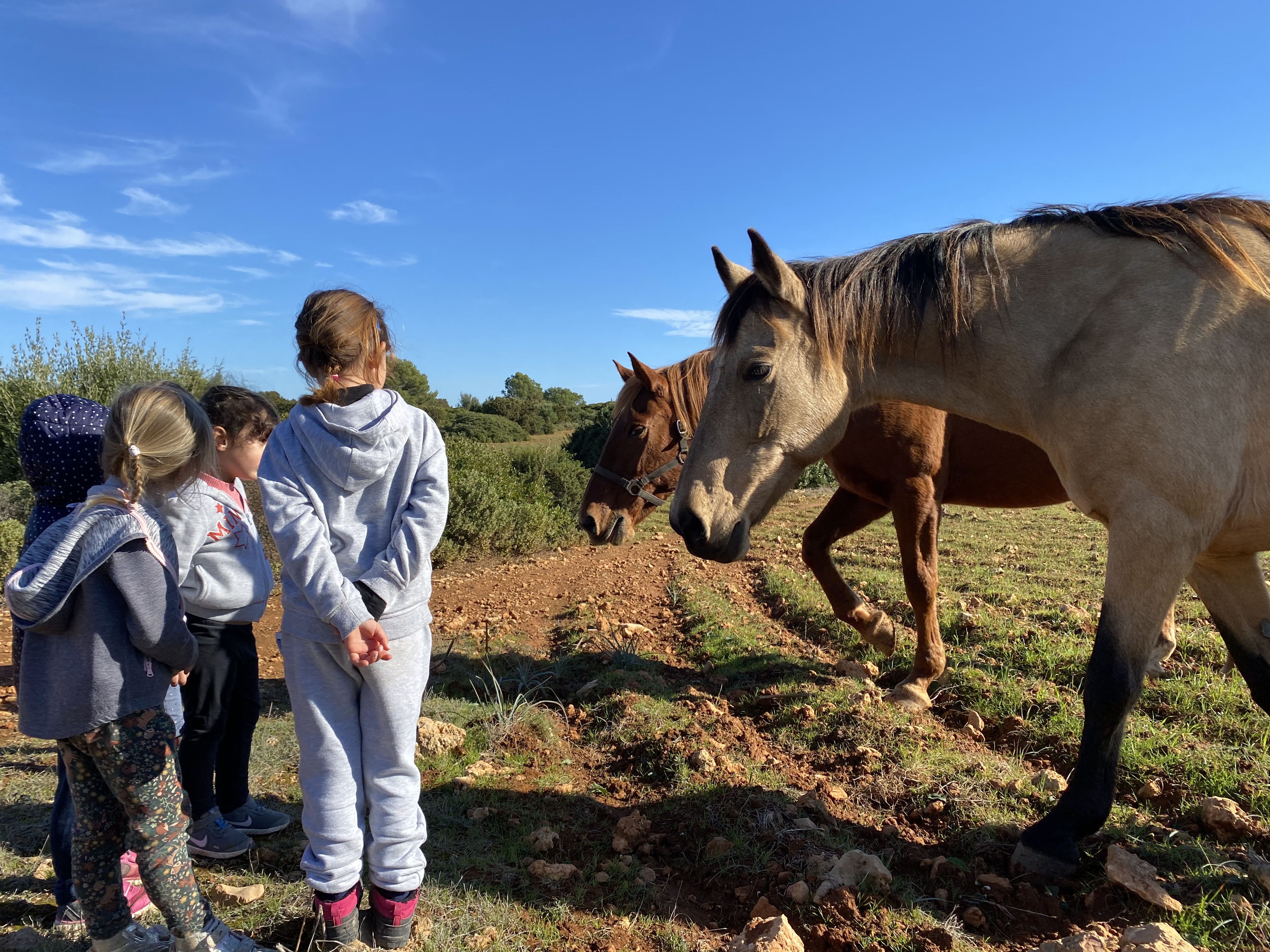 Anem a passejar a la vora de la mar