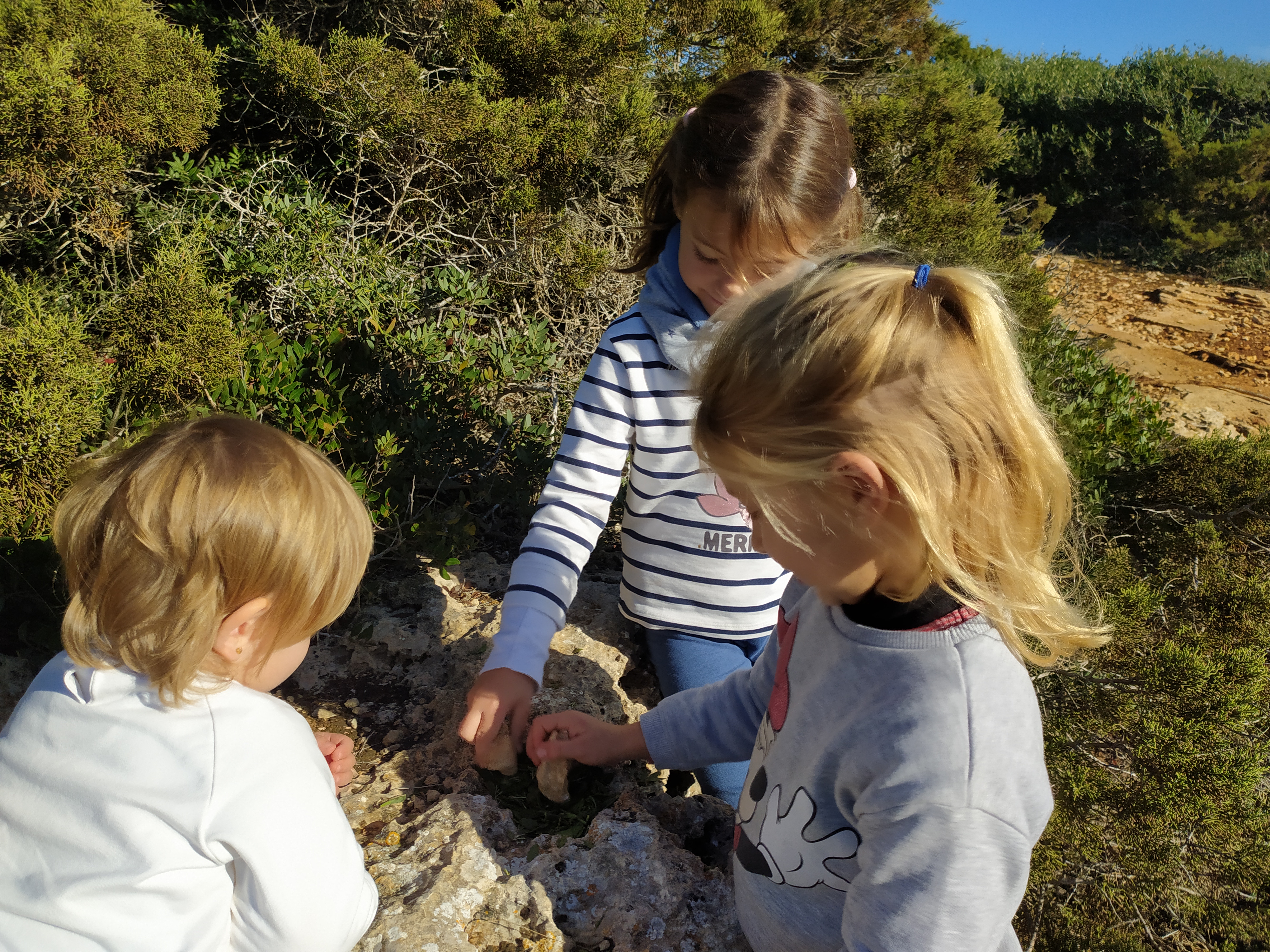 Anem a passejar a la vora de la mar