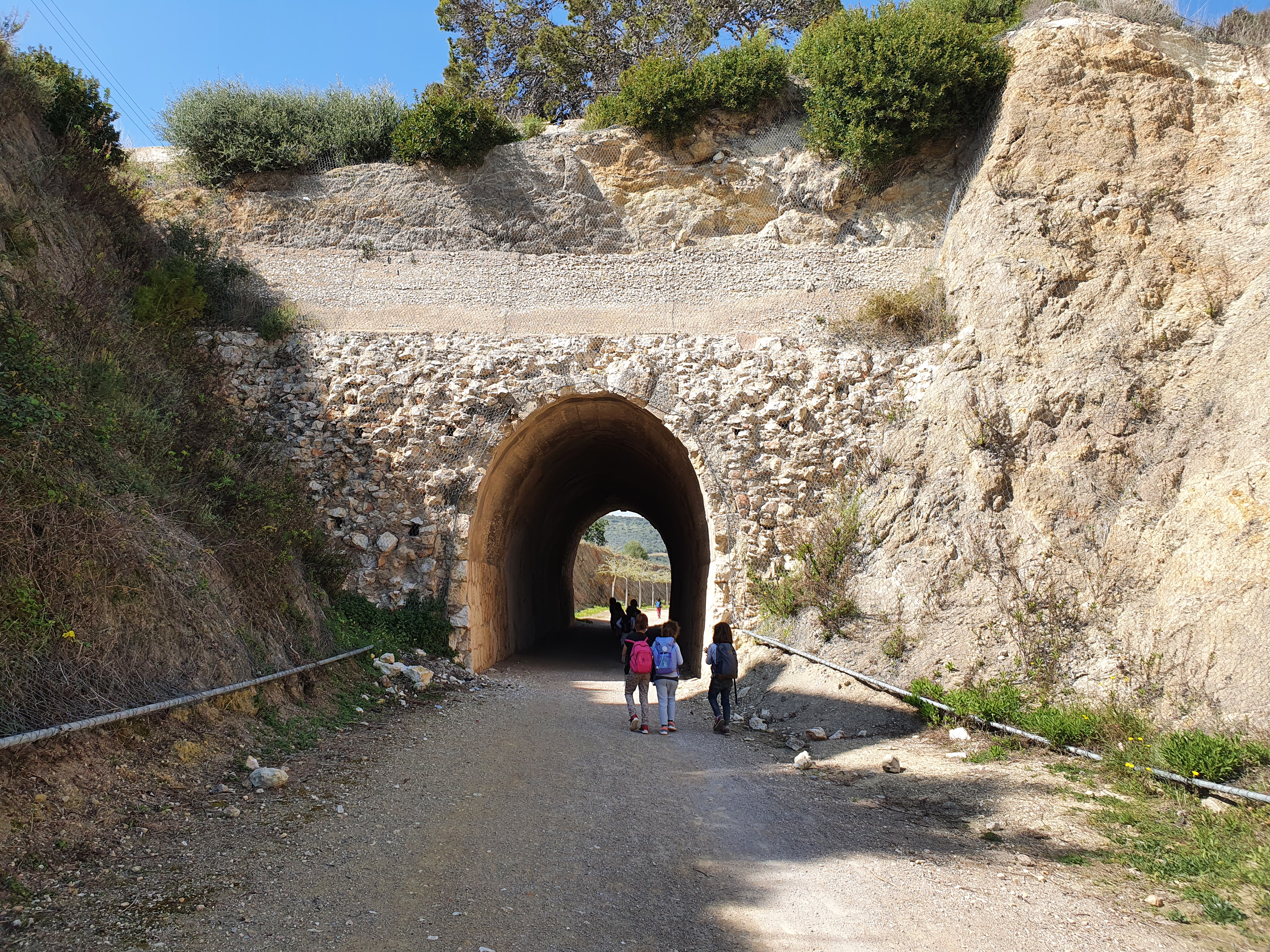 Sortides del grup arrels-inici