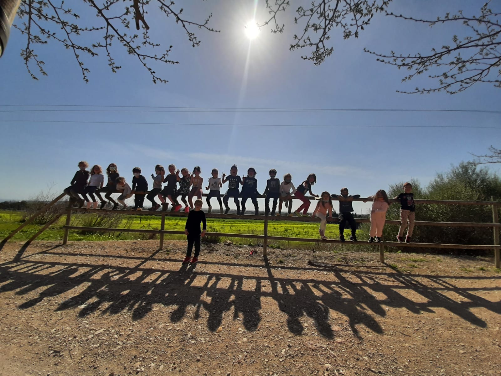 Sortides del grup arrels-inici