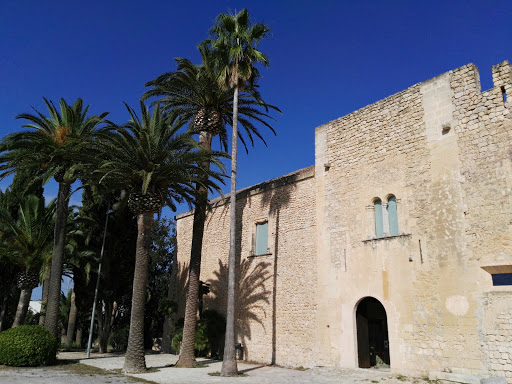 Notícia: Sortida a la Torre dels Enagistes