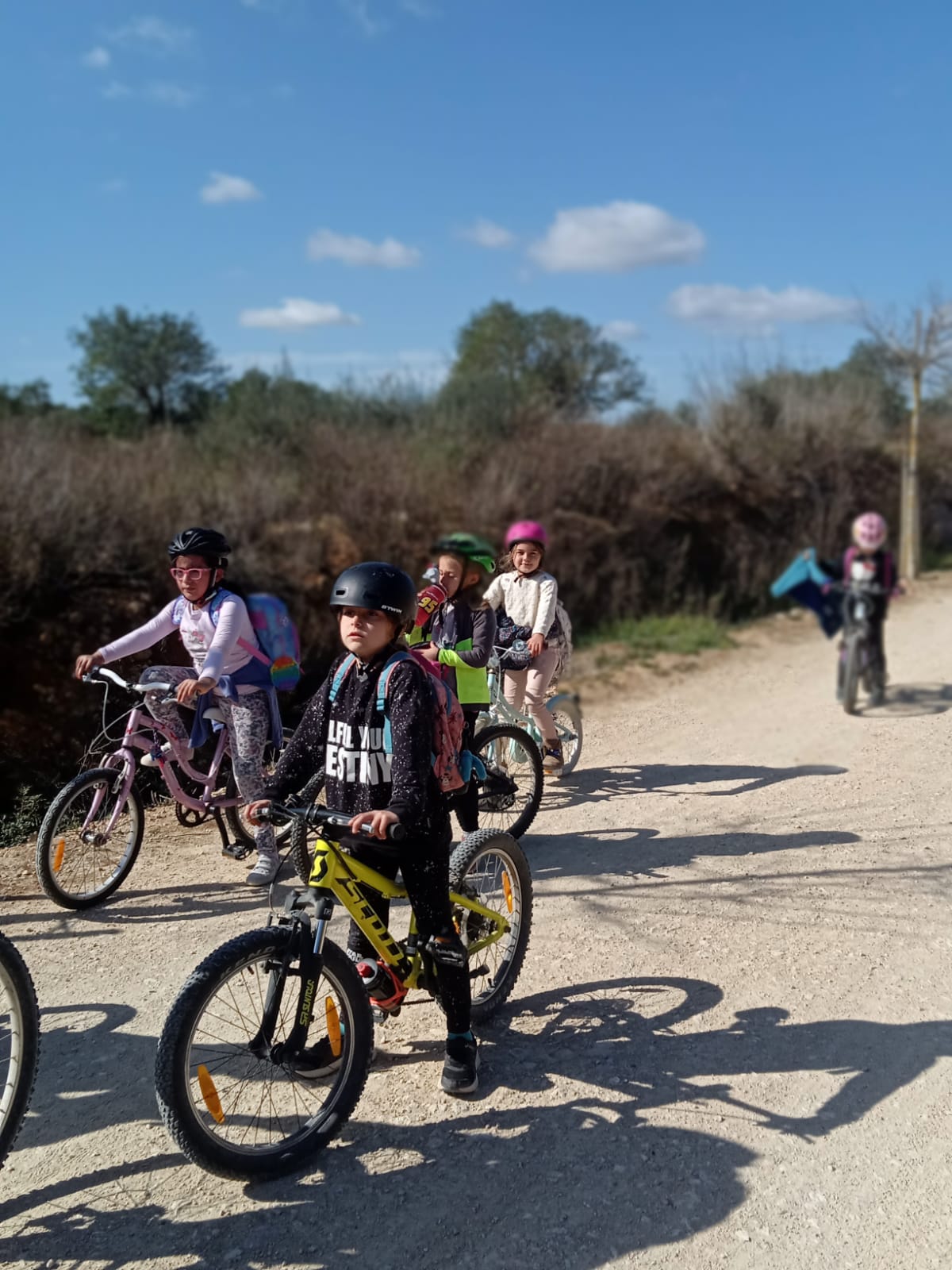 Sortides en bicicleta