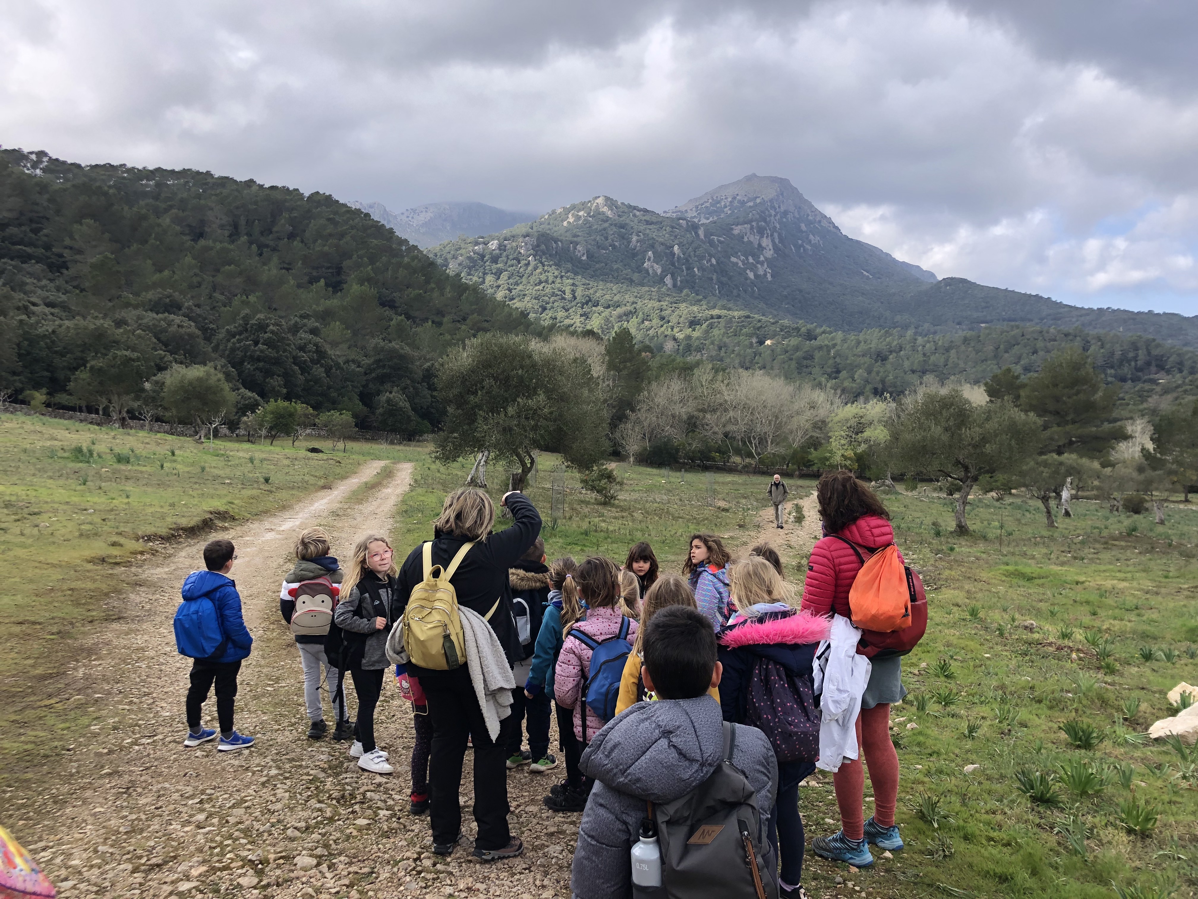 Acampada d'ARRELS -INICI a Son Amer Grup 2