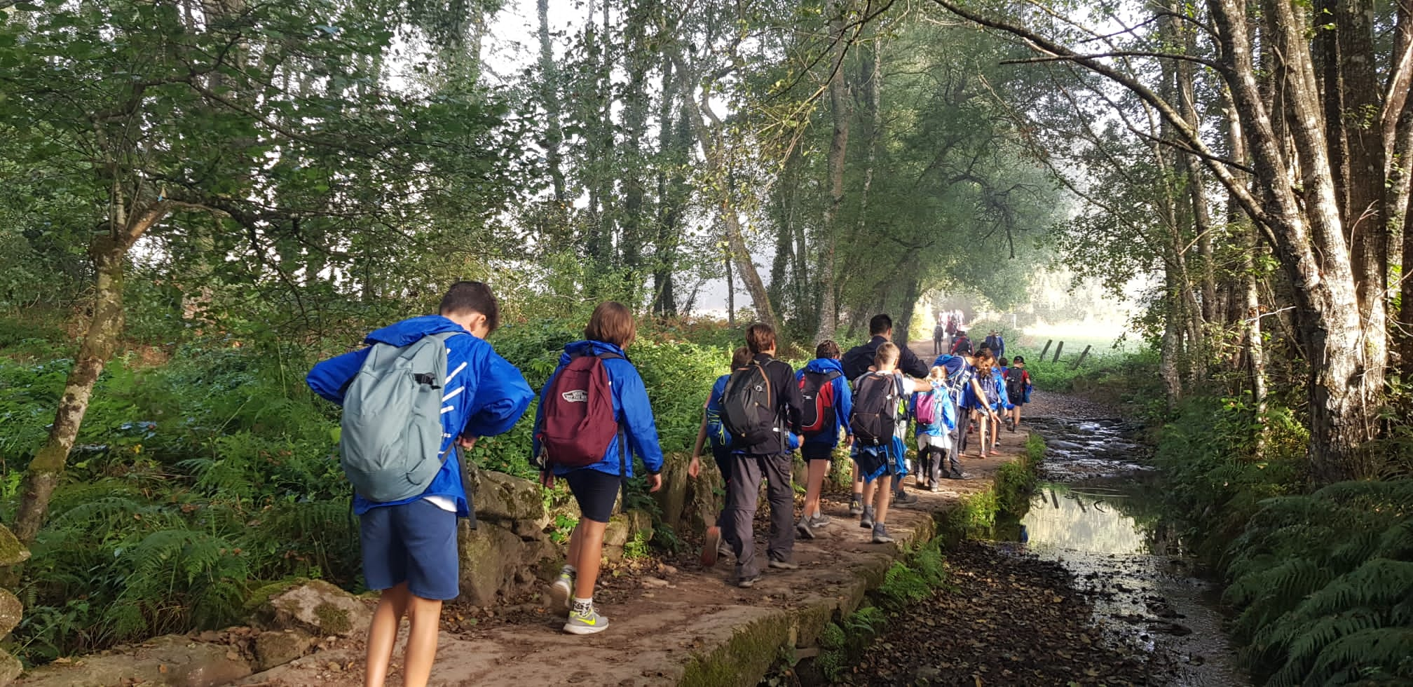 Viatge al Camino de Santiago: dijous, de Sarria a Portomarín.