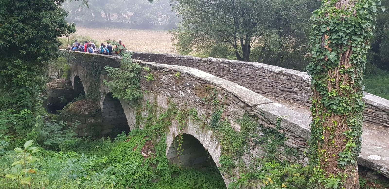 Viatge al Camino de Santiago: dijous, de Sarria a Portomarín.