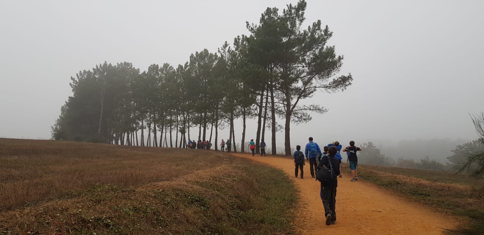 Viatge al Camino de Santiago: divendres, de Portomarín a Palas de Rei