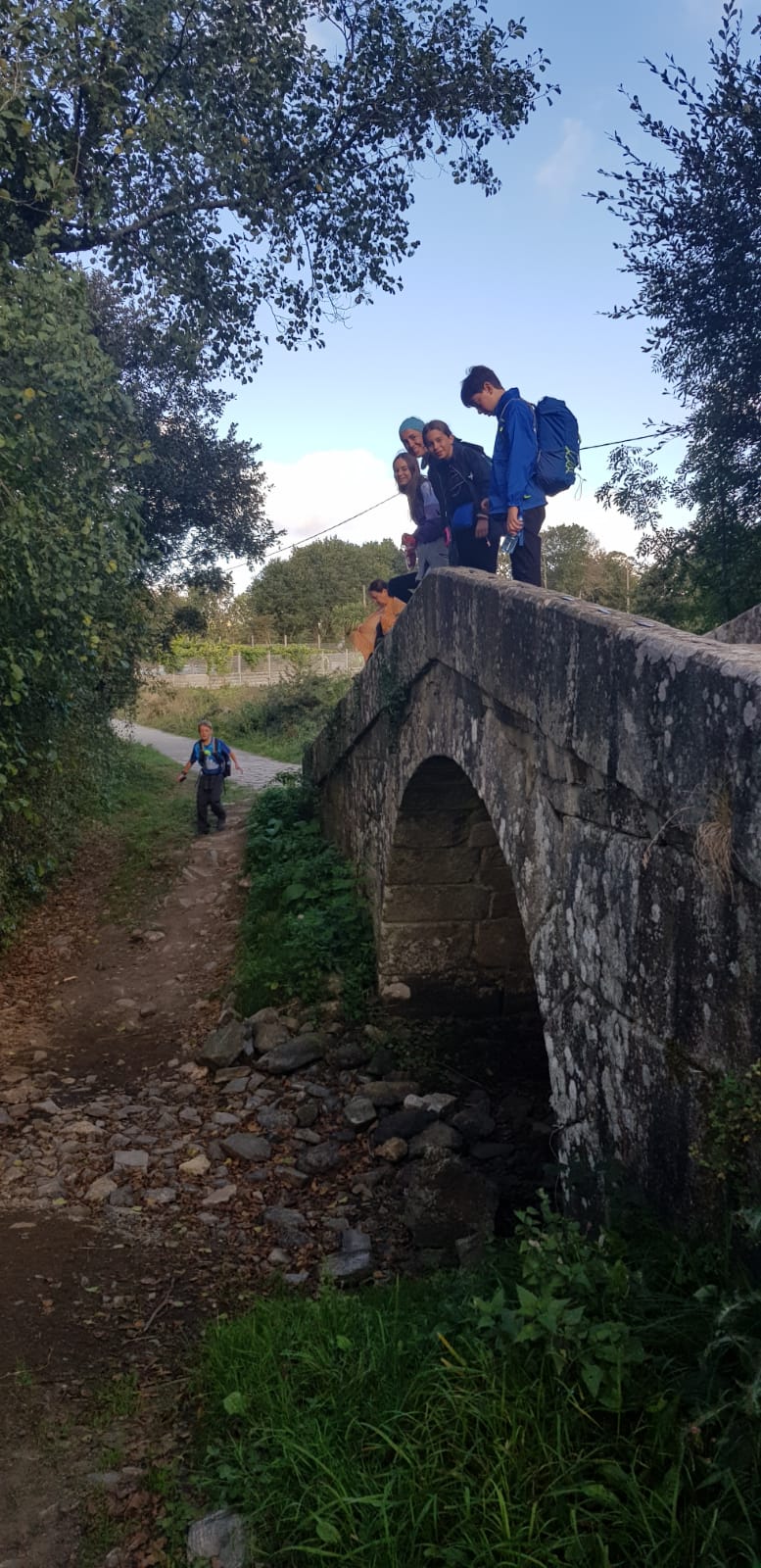 Viatge al Camino de Santiago: dissabte, de Palas de Rei a Arzúa