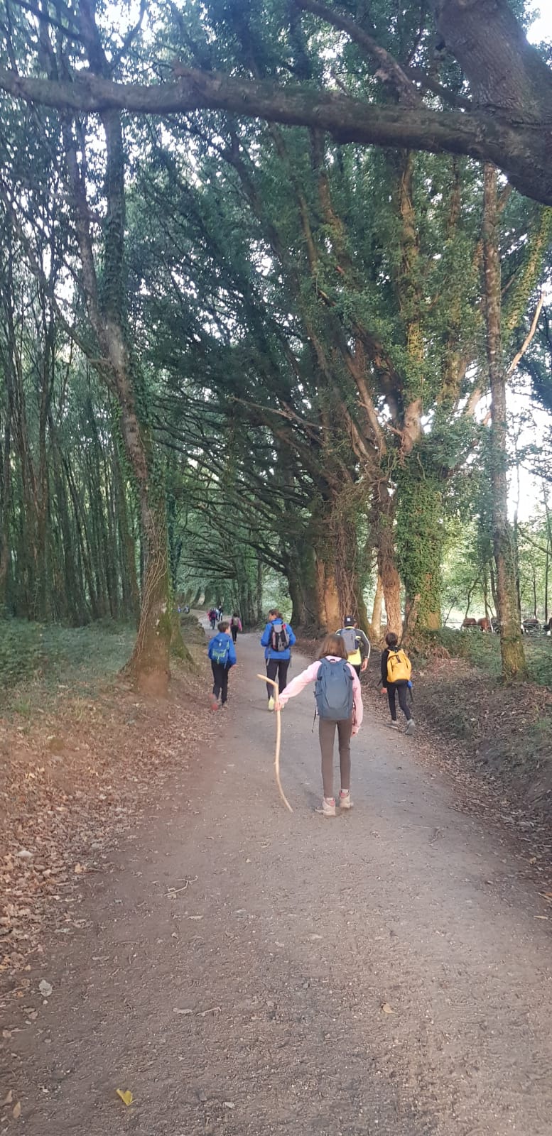 Viatge al Camino de Santiago: dissabte, de Palas de Rei a Arzúa