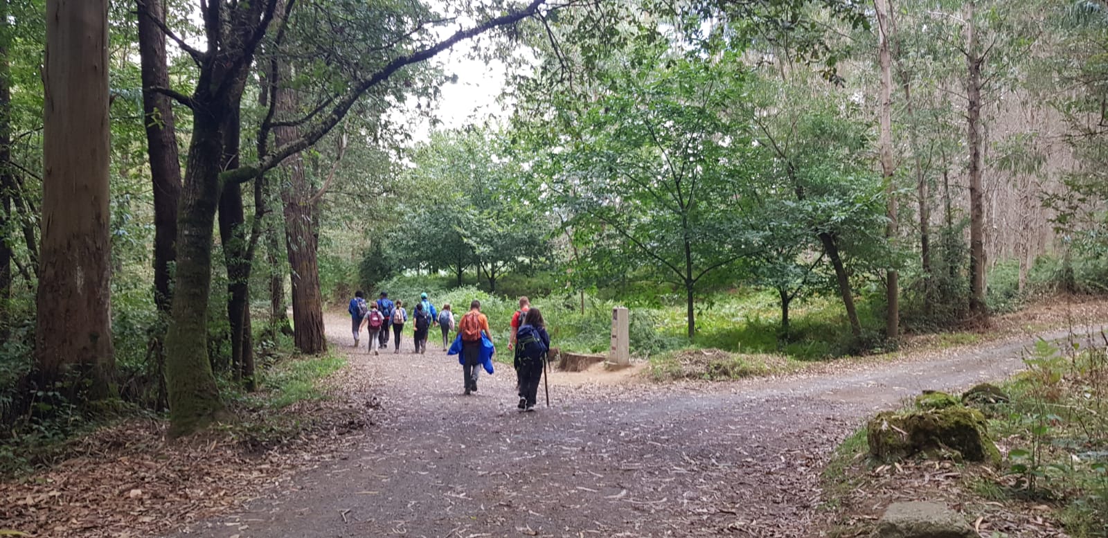 Viatge al Camino de Santiago: dissabte, de Palas de Rei a Arzúa