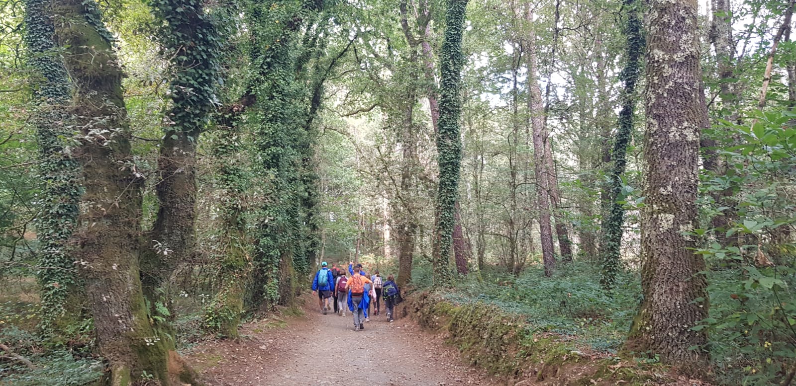 Viatge al Camino de Santiago: dissabte, de Palas de Rei a Arzúa