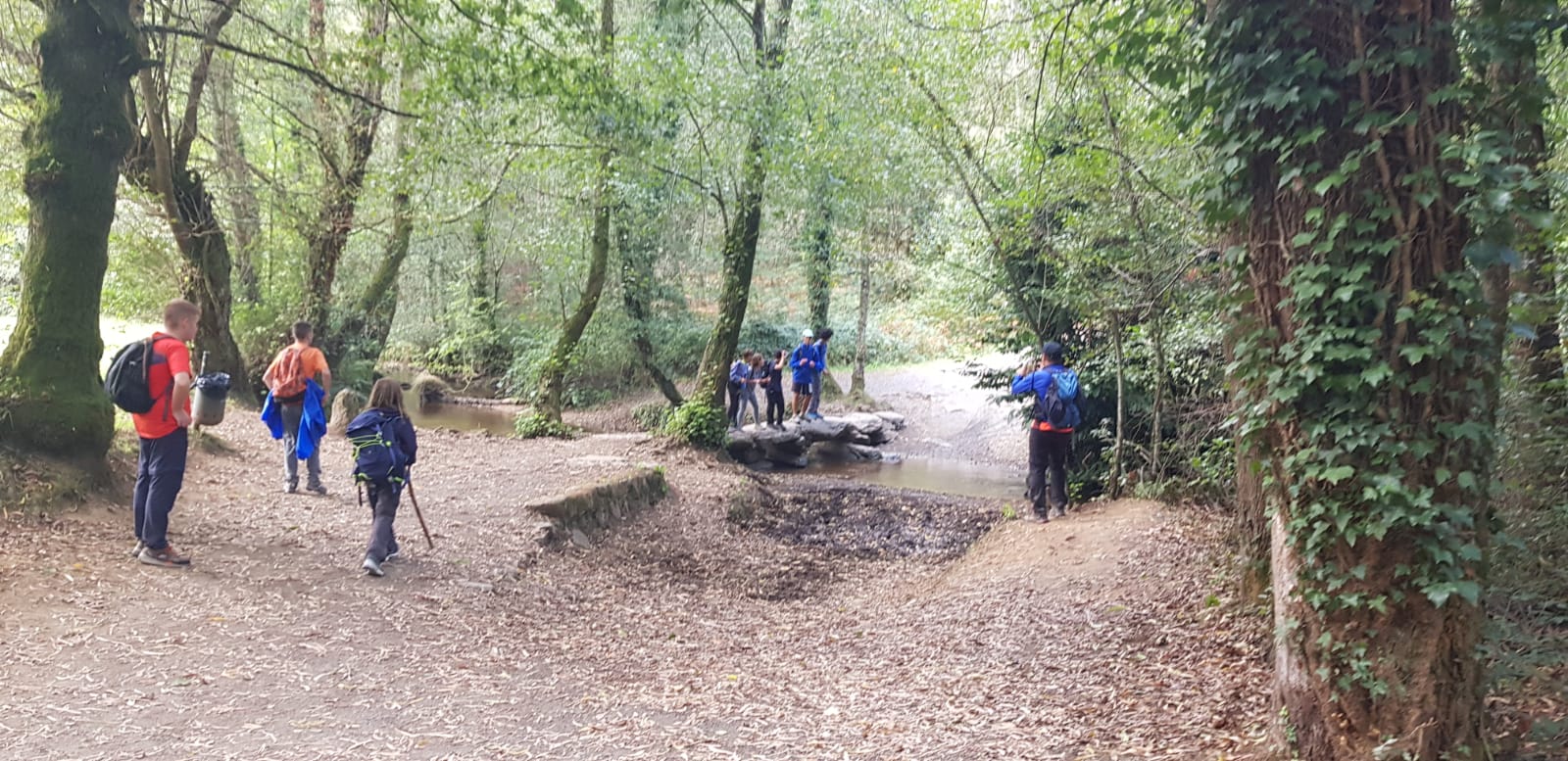 Viatge al Camino de Santiago: dissabte, de Palas de Rei a Arzúa