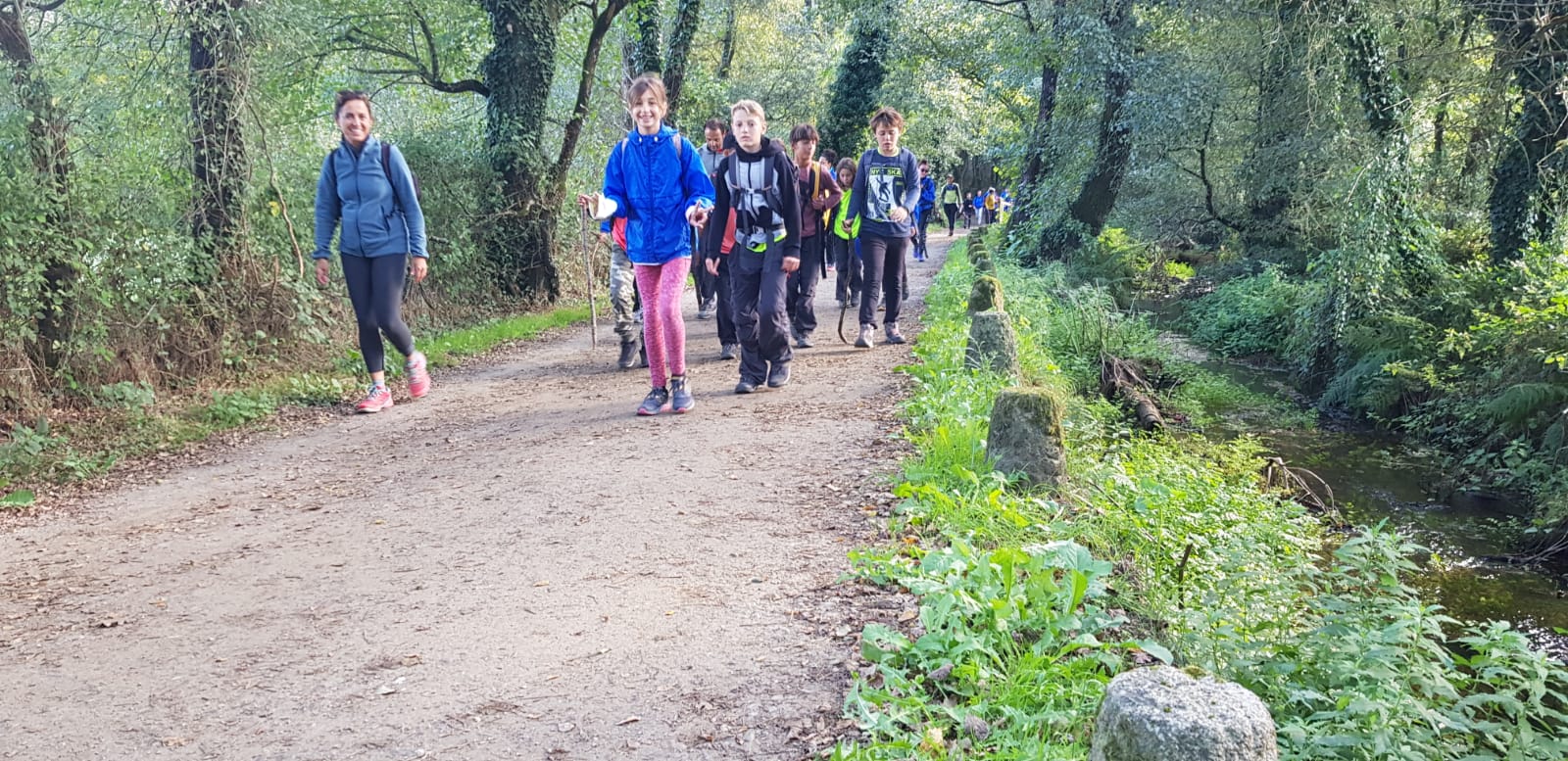 Viatge al Camino de Santiago: diumenge, a Pedrouzo