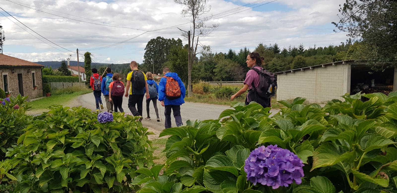 Viatge al Camino de Santiago: diumenge, a Pedrouzo