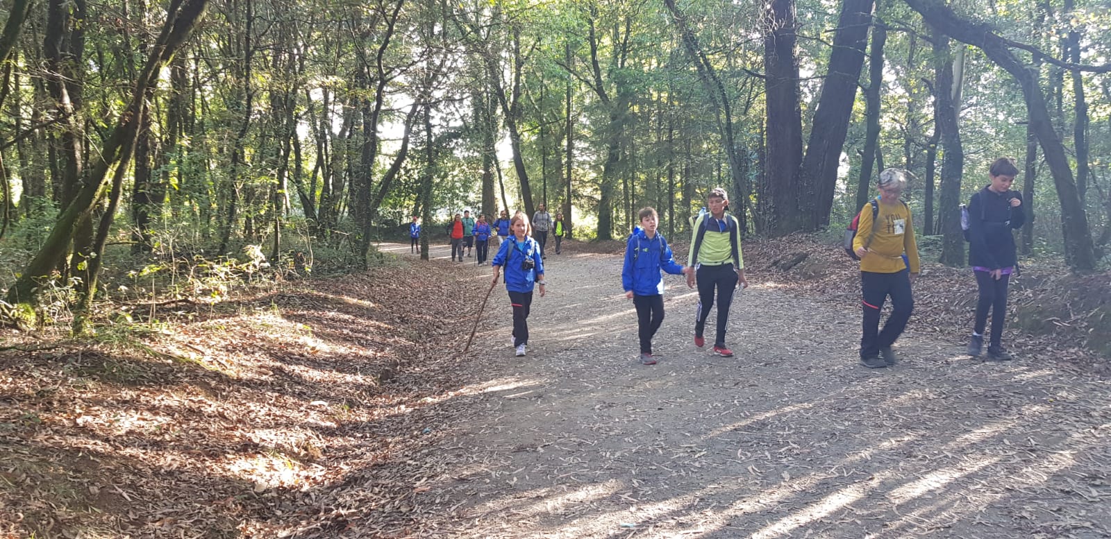 Viatge al Camino de Santiago: diumenge, a Pedrouzo