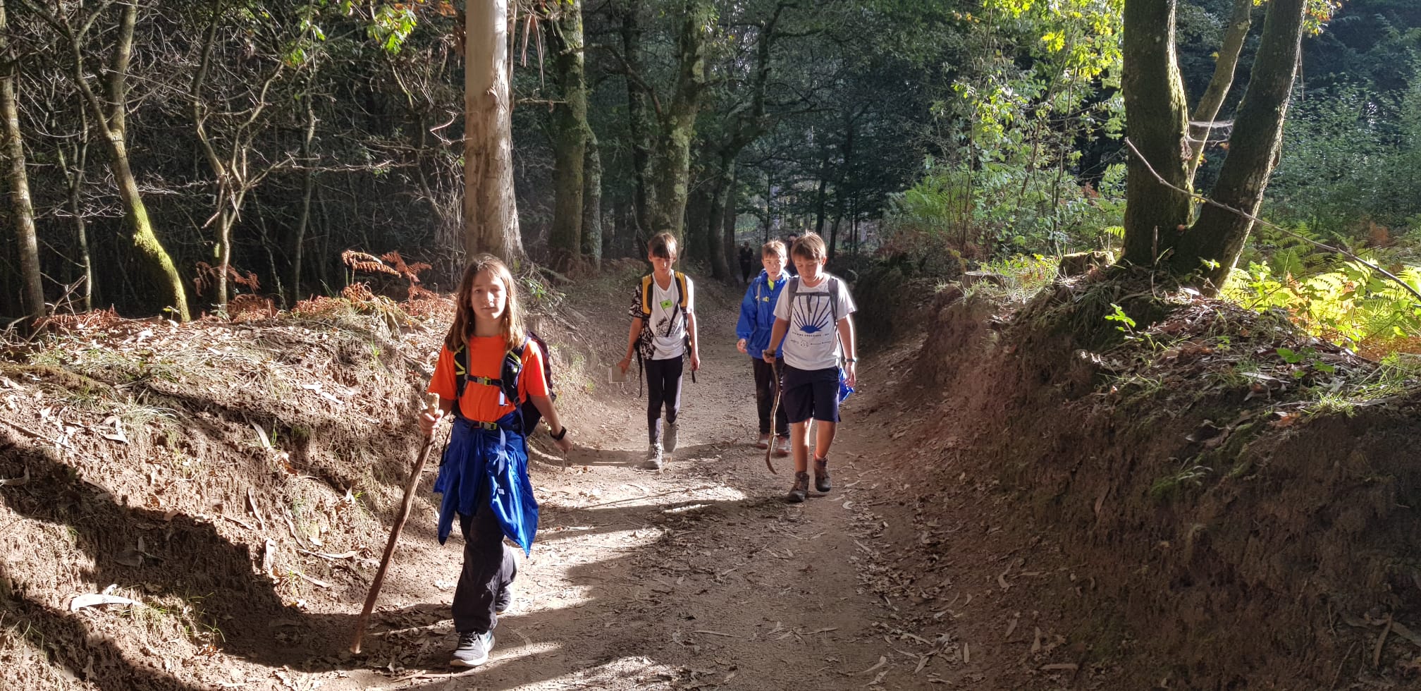 Viatge al Camino de Santiago: dilluns, arribada a Santiago