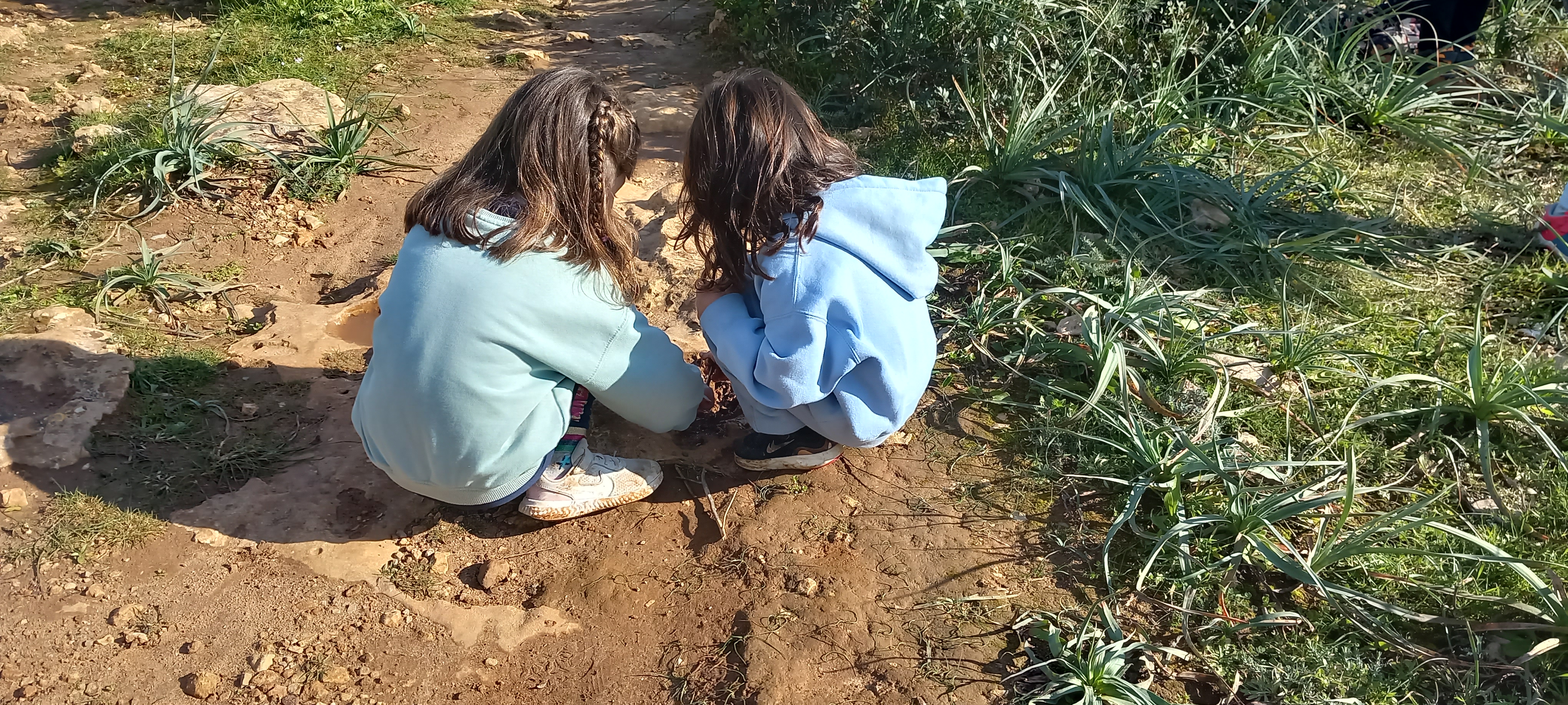 Excursió Punta de n'Amer