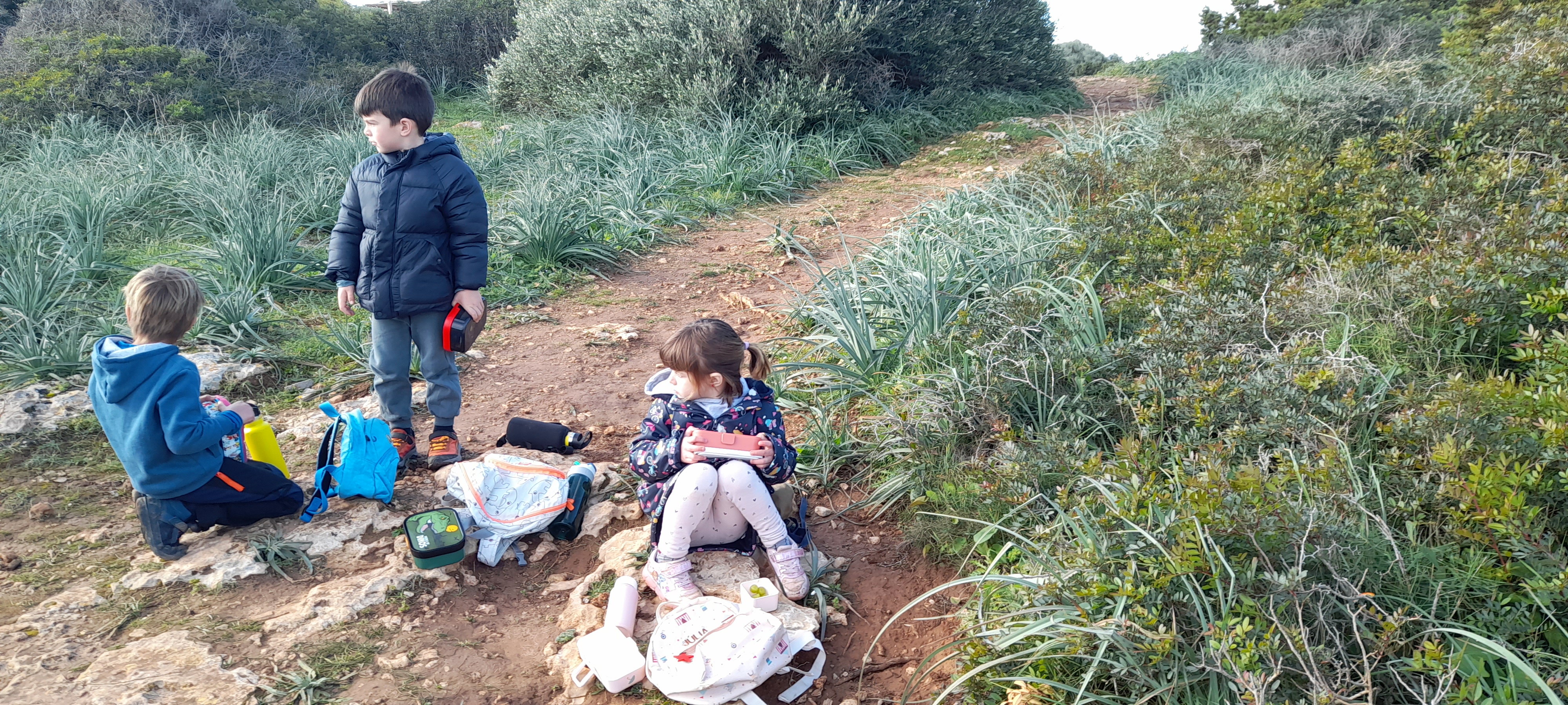 Excursió Punta de n'Amer