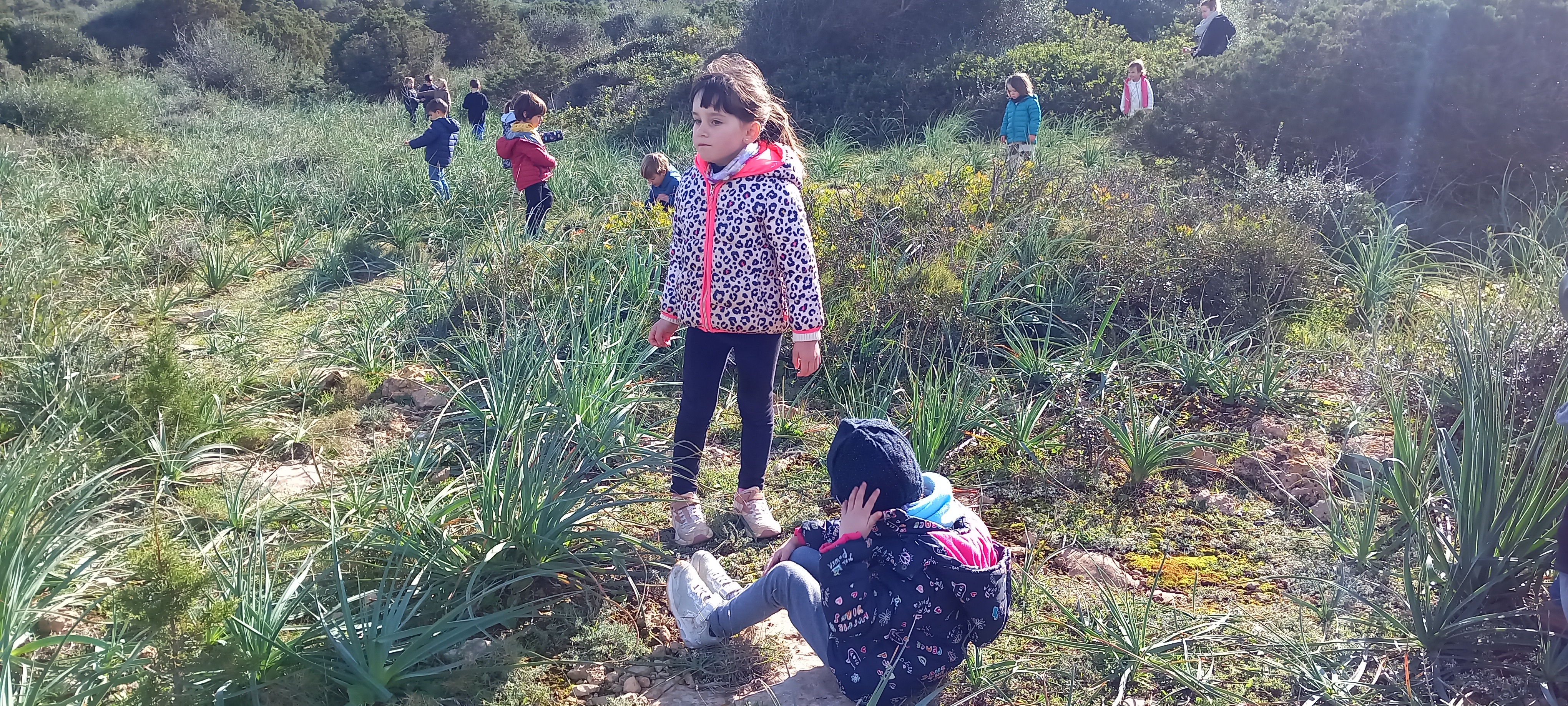 Excursió Punta de n'Amer