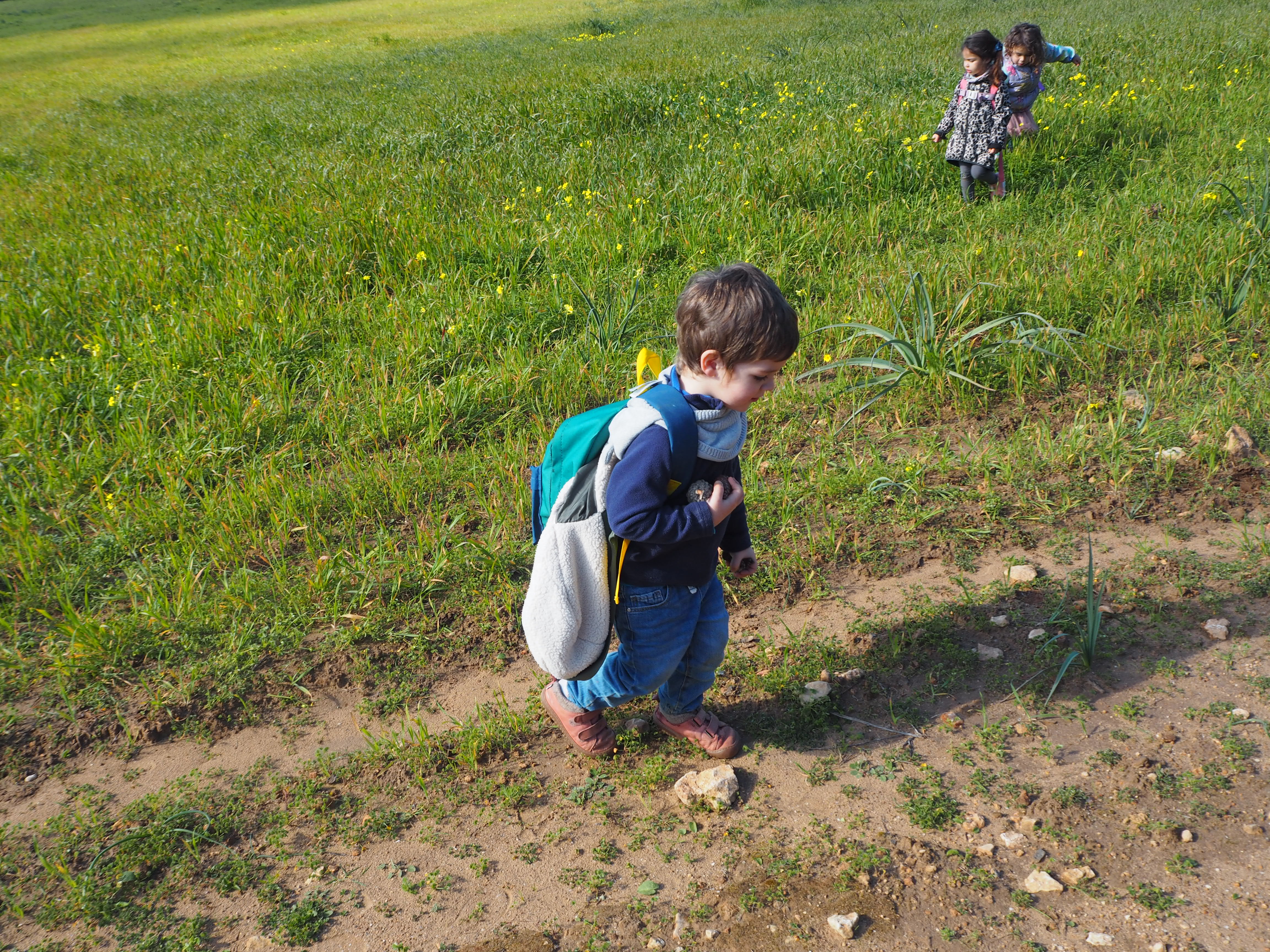 Excursió Punta de n'Amer