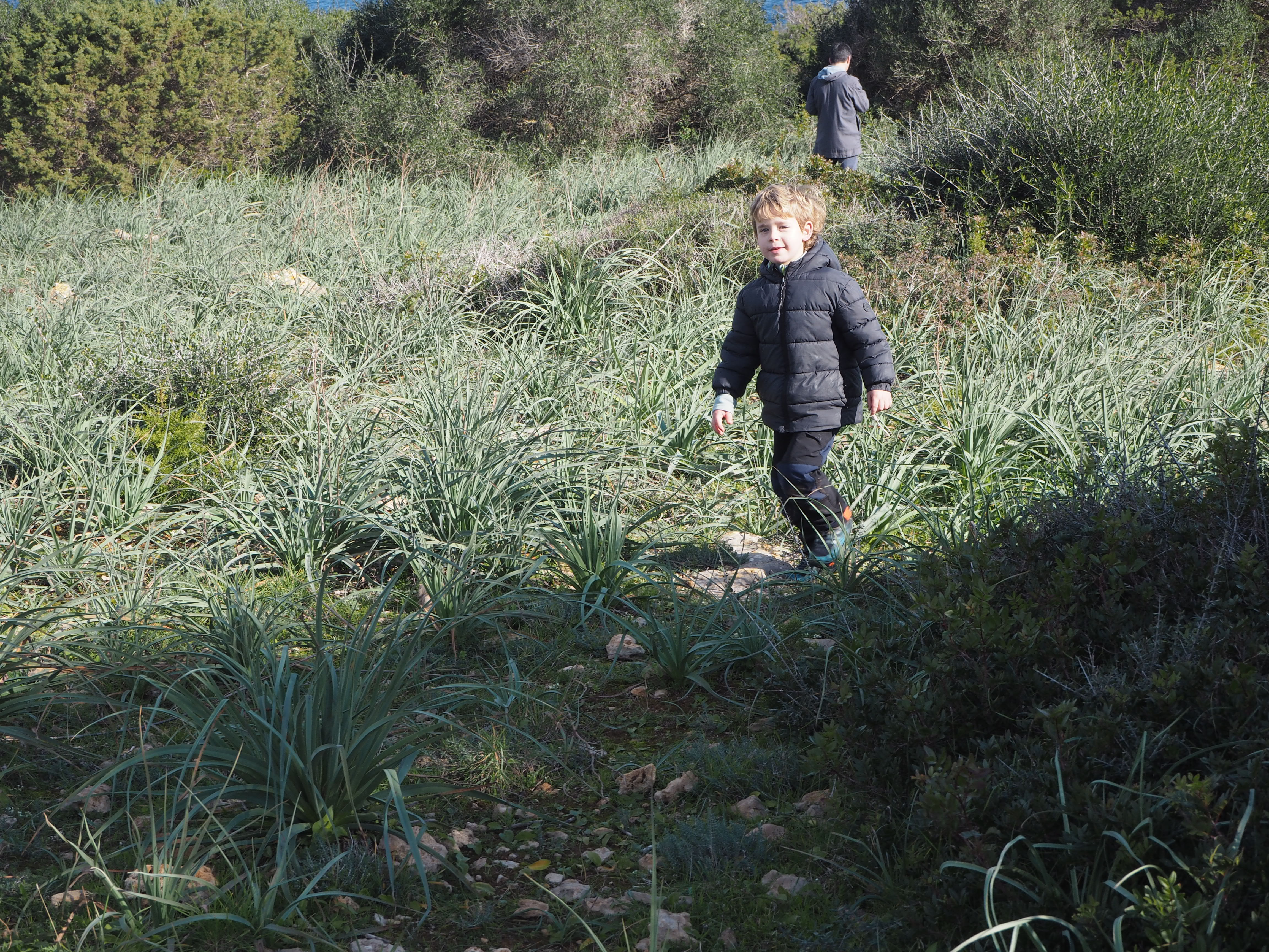 Excursió Punta de n'Amer