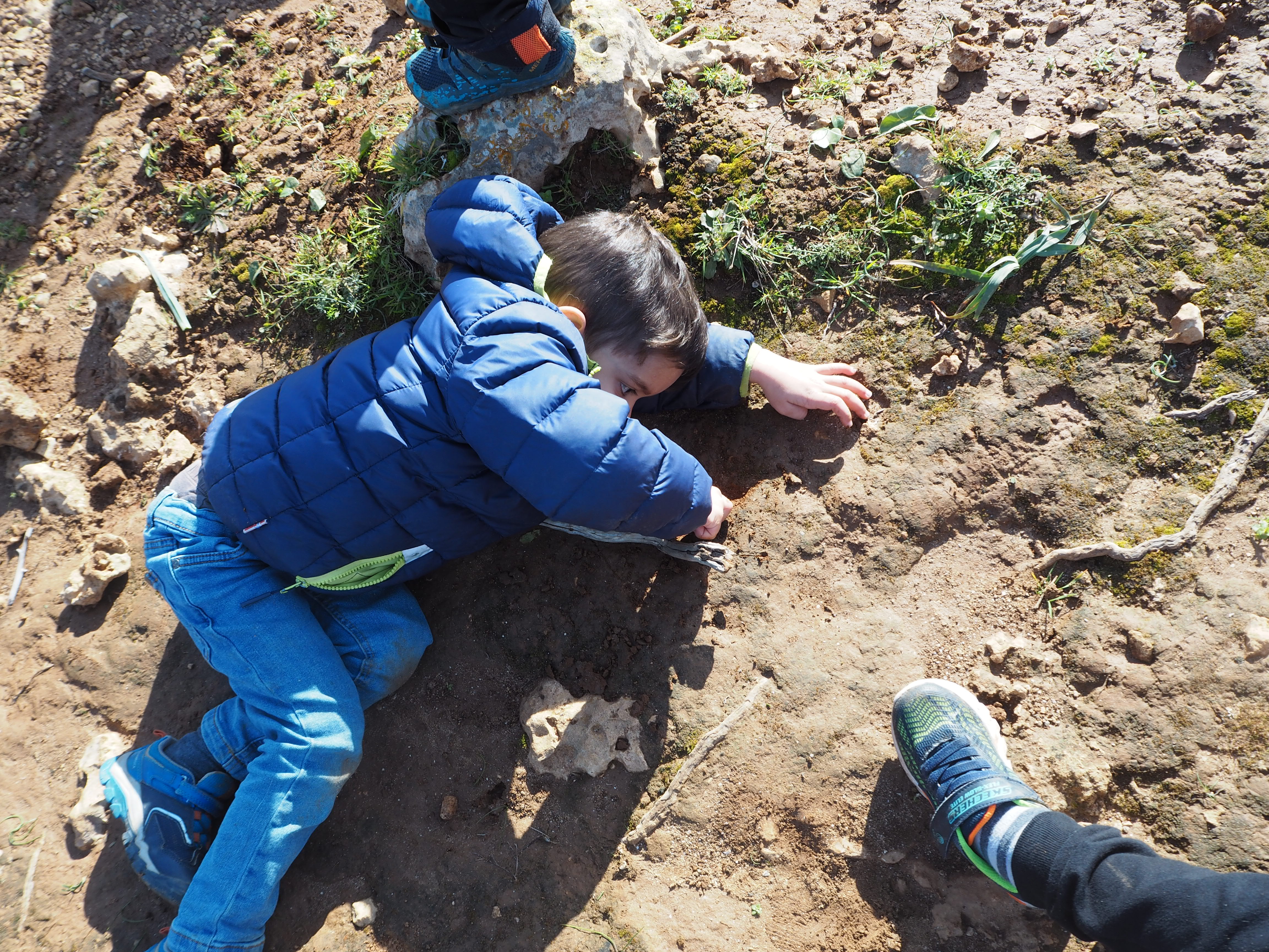 Excursió Punta de n'Amer