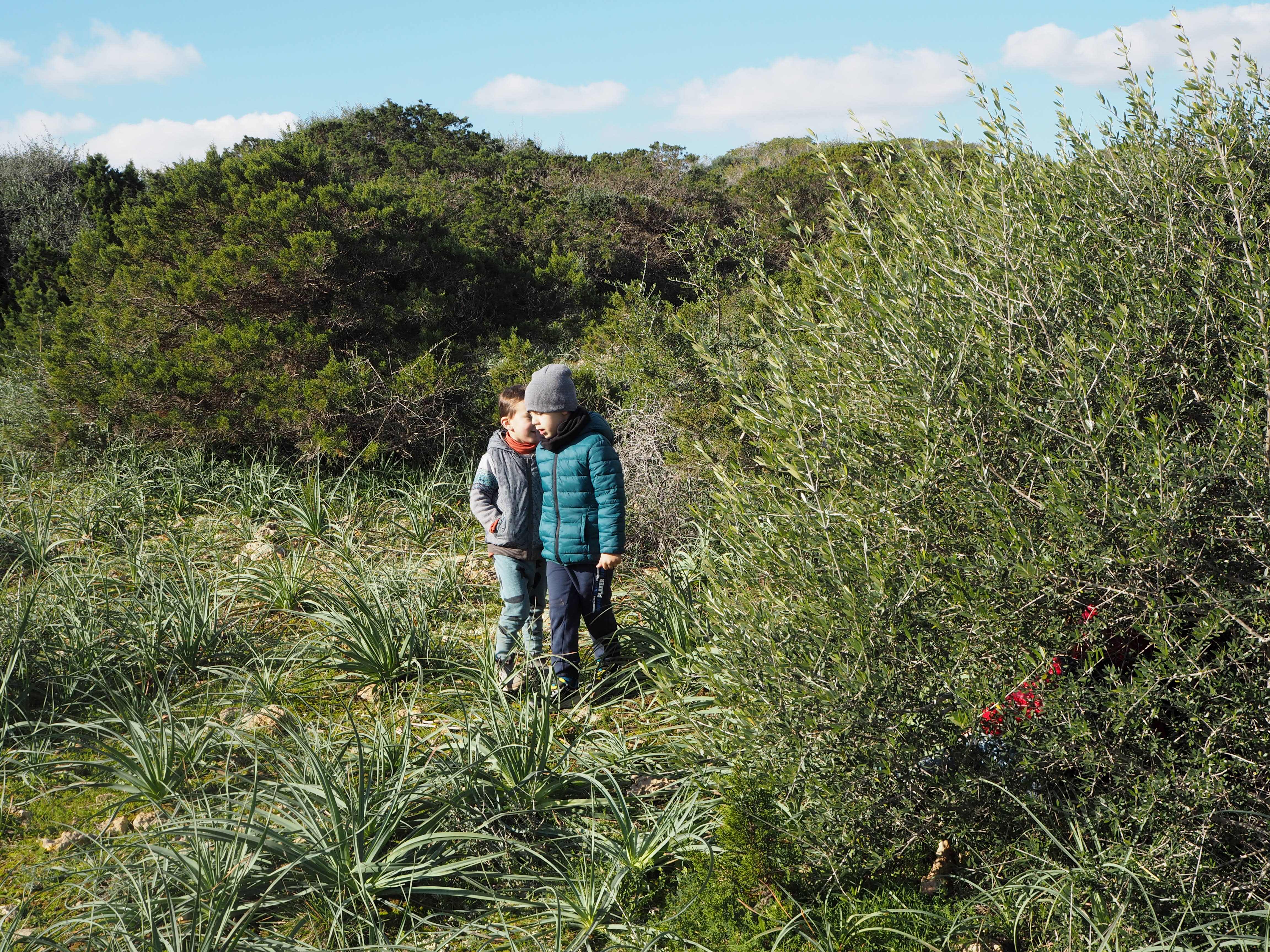 Excursió Punta de n'Amer