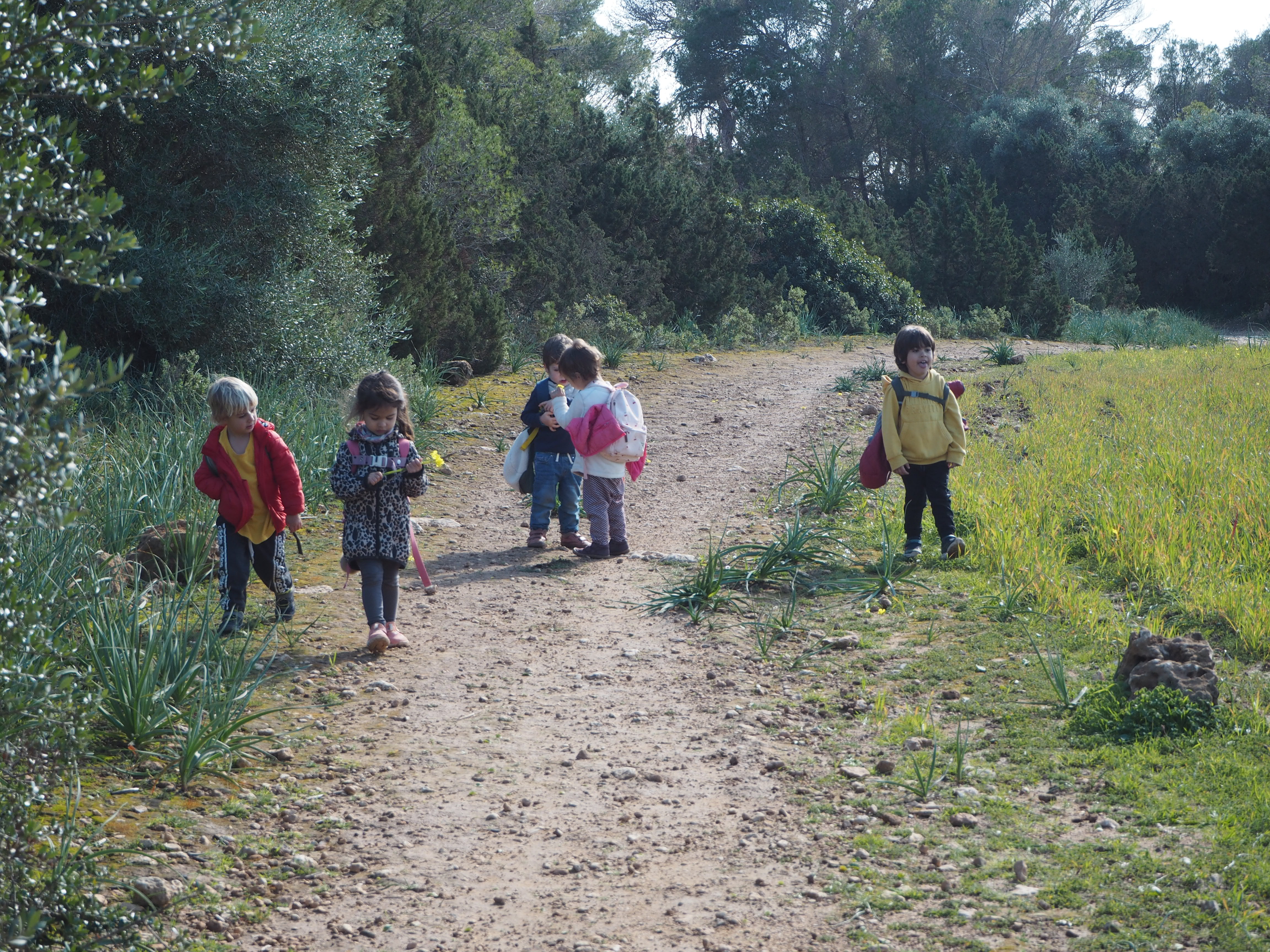 Excursió Punta de n'Amer