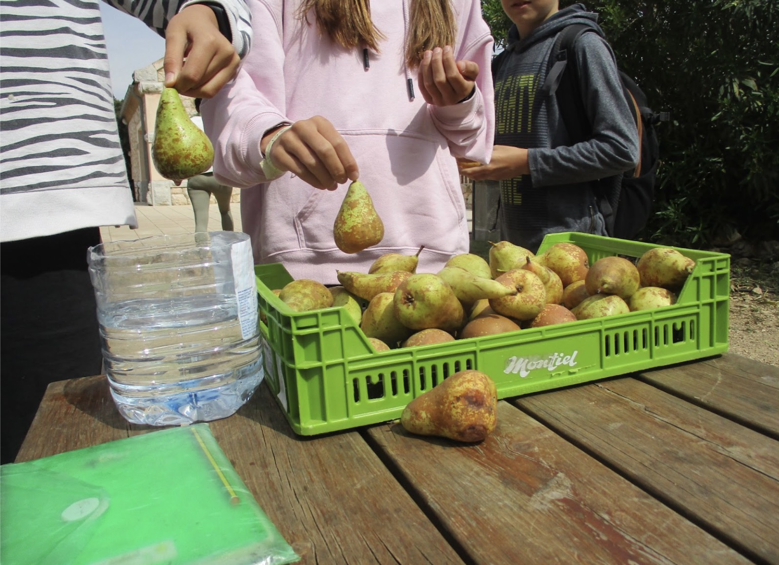 Els dimecres arriba fruita